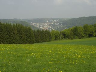 Rexingen