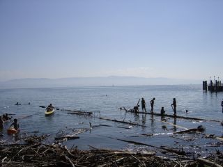 Menschen baden mit ganzen Baumstmmen