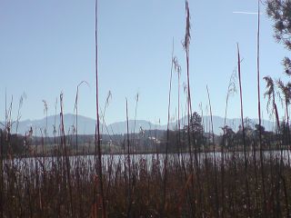 am Fohnsee