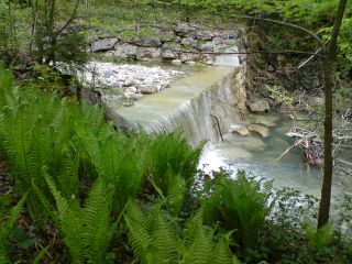 Im Steinbachtal