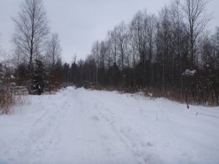 Viel Schnee auf dem Weg