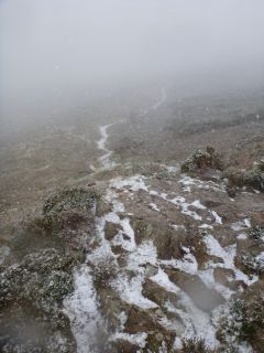 verschneiter Weg im Nebel