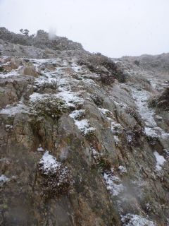 verschneiter Weg im Nebel