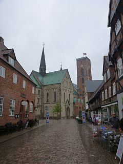 Ribe Dom