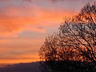 Baum vor Himmelsfarbenspiel