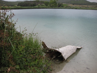 Baumteil im Wasser