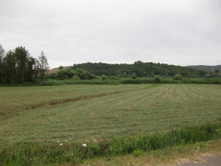 Ein Feld in der toskanischen Landschaft