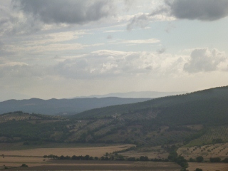 Panorama