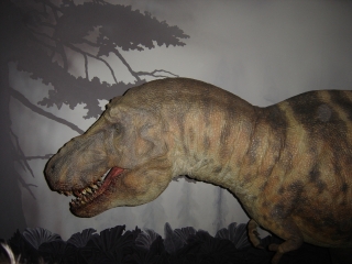 Tyrannosaurus rex