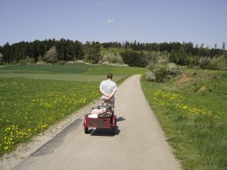 Mane zieht den Wagen alleine