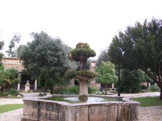 Brunnen mit viel Moos