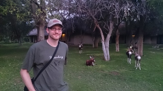 Ich und die Bonteboks