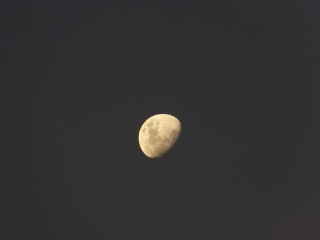 Mond
