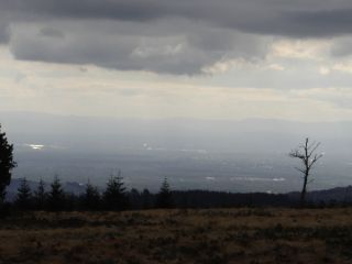 Blick vom Schliffkopf ins Rheintal