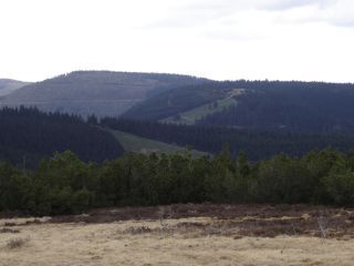 Skihnge Vogelskopf und Ruhestein