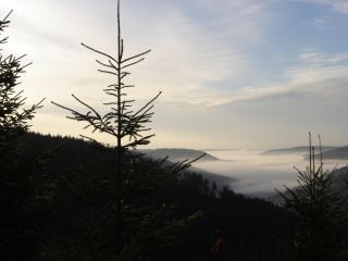 Sonnenaufgang ber Nebel