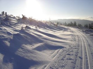 Schneewehen auf der Loipe