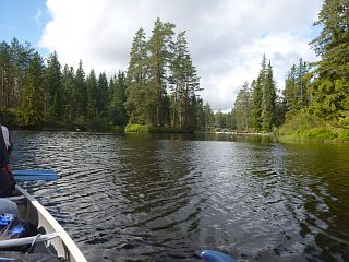 Insel im Fluss