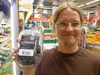 Bjrn mit Brombeeren