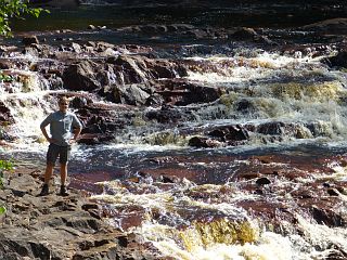 Bjrn am Wasserfall