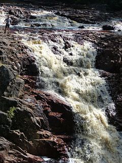 Bjrn am Wasserfall