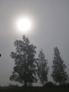 Sonne im Nebel