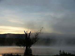 Nebel am See